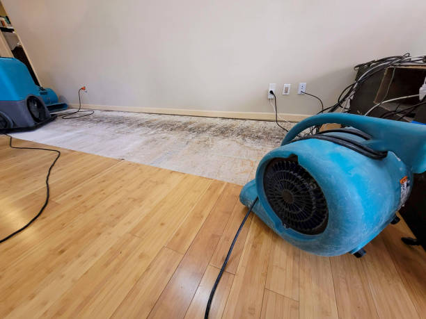 Professional Burst Pipe Water Damage technician working in Beaver, UT